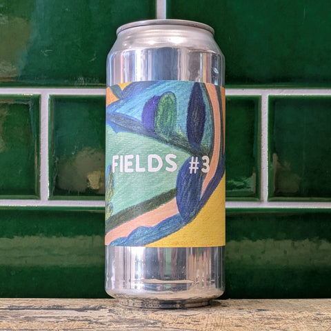 Beak | Fields 3
