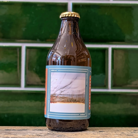 Dookit | Balla Mara : Sea Buckthorn Gose