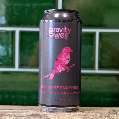 Gravity Well | The Rise Of Endymion Blackcurrant Blueberry and Raspberry Sour