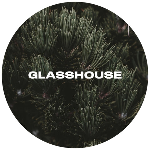 DRAFT | Glasshouse Conifer